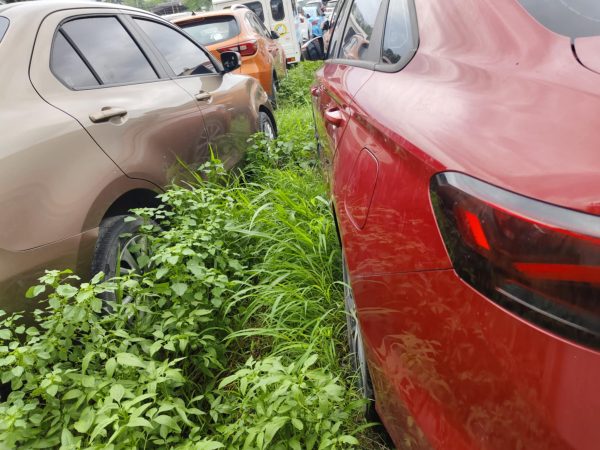 2022 SUZUKI DZIRE GL AMT 1.2 AT GAS - Image 3